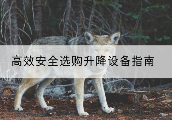 芒市升降货梯厂家推荐-*安全选购升降设备指南