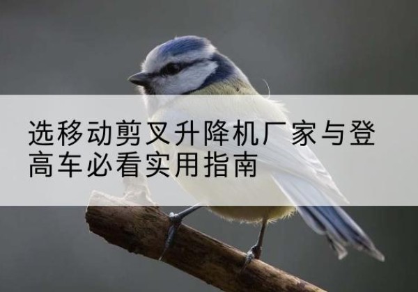 芒市电动升降机厂家-选移动剪叉升降机厂家与登高车必看实用指南