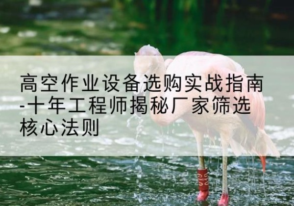 芒市剪叉式升降机厂家-高空作业设备选购实战指南-十年工程师揭秘厂家筛选核心法则