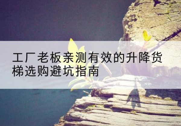 芒市升降货梯怎么选-工厂老板亲测有效的升降货梯选购避坑指南